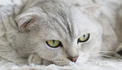 NBA-这真是中超史上最难看的苏粤决？很不幸，是真的……